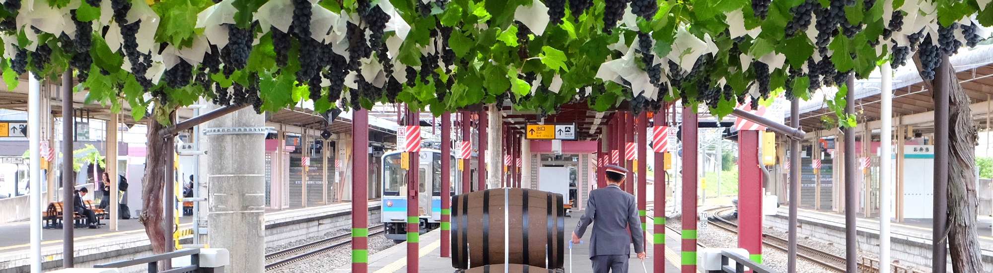 首都圏からも中京圏からも特急電車で１本で到着のJR塩尻駅　全国で唯一ブドウ棚があります