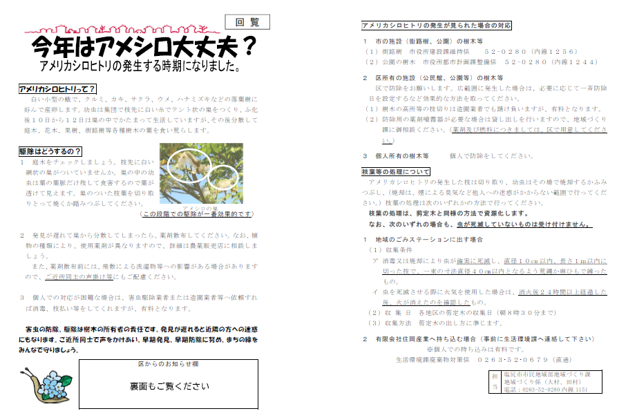 アメシロチラシ