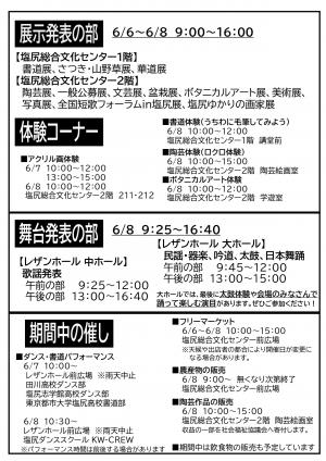 チラシ裏面