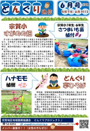 どんぐり通信６月号