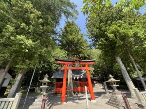 正面から見た鎮神社社叢　