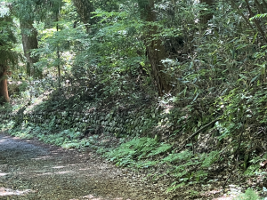 中山道石垣　全体像