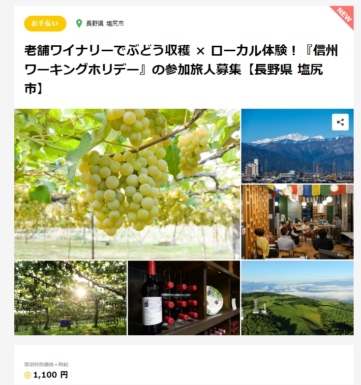 応募画面