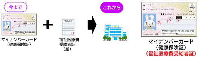 Pmhの概要