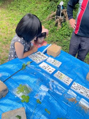 里山６月１