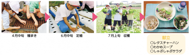 栽培の流れ