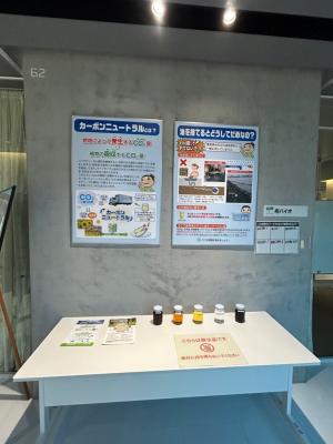 展示の様子