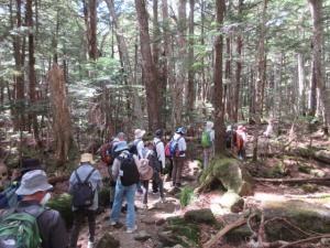 R7　白駒池自然観察会