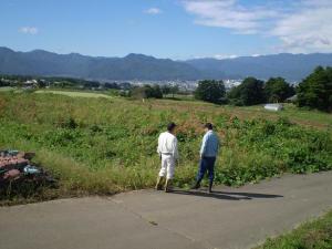 遊休荒廃農地作業前