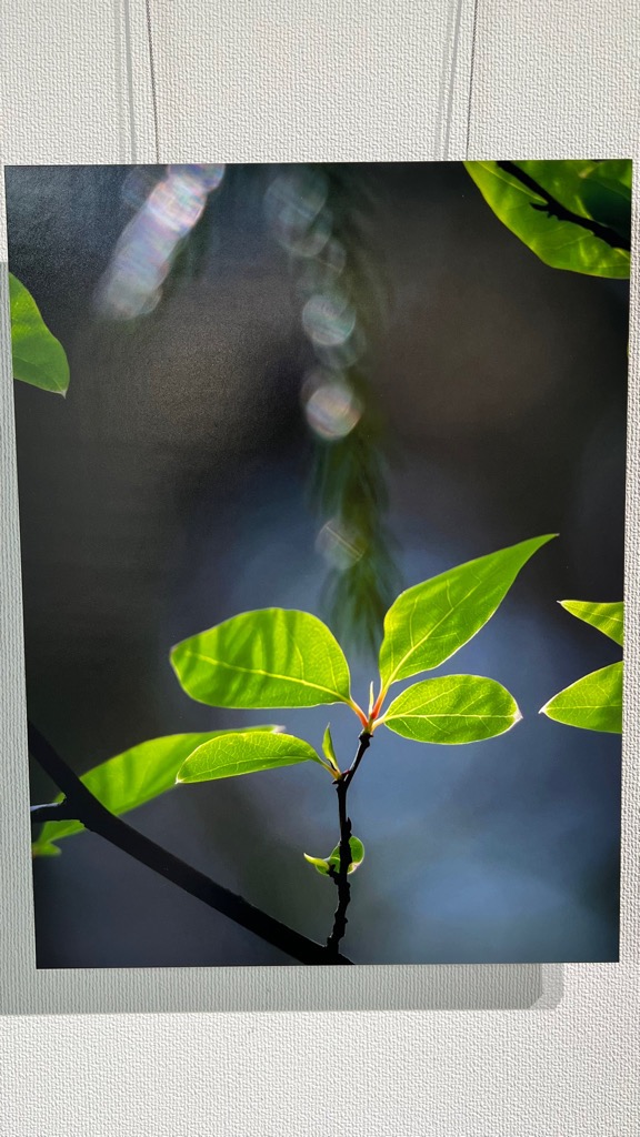 写真展の様子