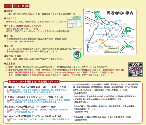 チラシ裏
