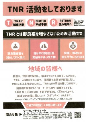 TNR活動チラシ