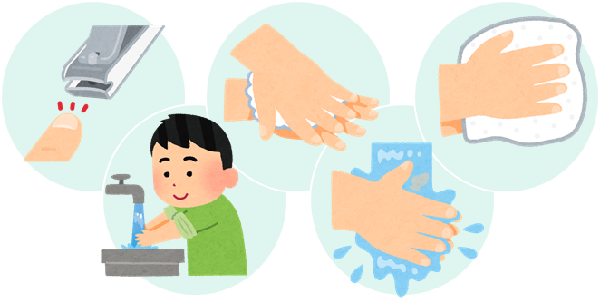 正しい手洗い方法のポイントの画像