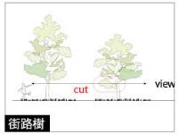 街路樹のイメージ図