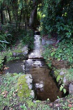 カワとドンドの画像