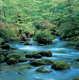 奈良井川の上流の写真