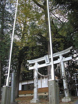 床尾神社のアサダの大木群の写真
