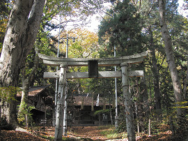 池生神社と社叢林の写真