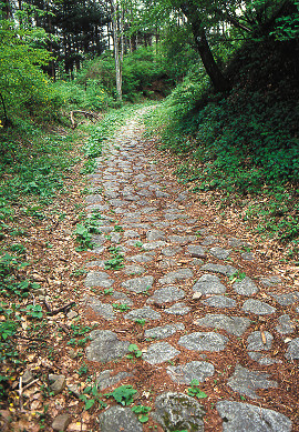 鳥居峠の写真