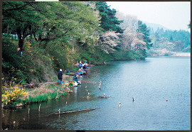 みどり湖の写真