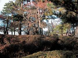 長者原公園の写真