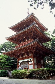 国重要文化財　油山寺三重搭の写真