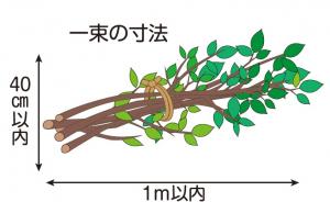 束ねた剪定木のイメージ