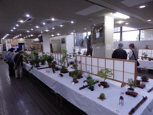 芸術祭（展示）