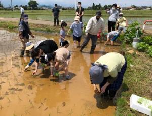 田植え03