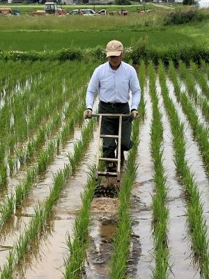 館長による草取り