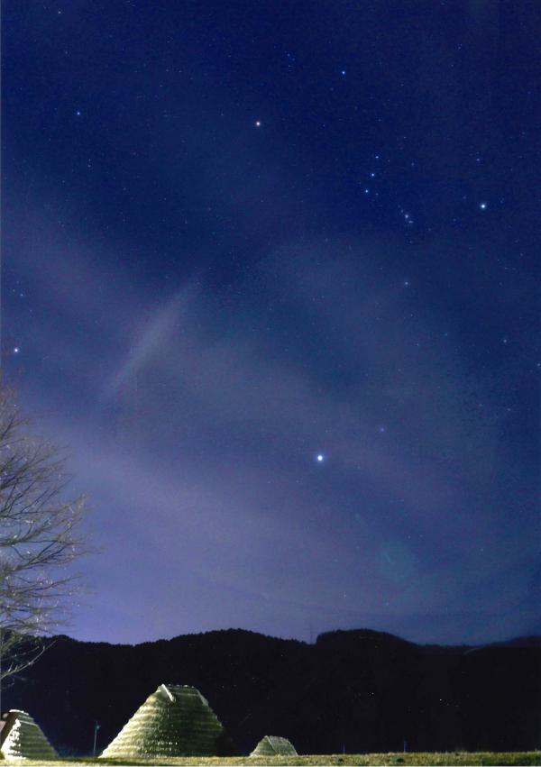 夜の遺跡公園