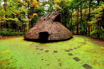 森の中の復元住居