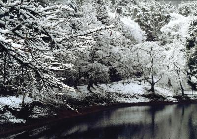 雪の平出の泉