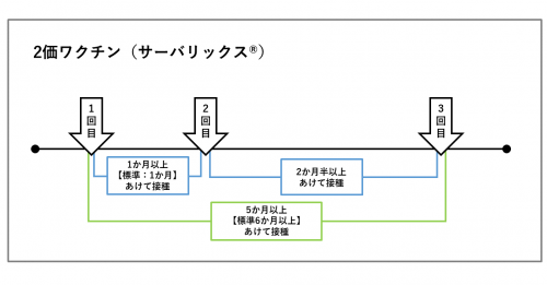 2価ワクチンの接種間隔