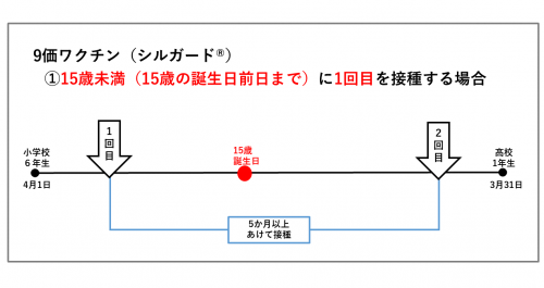 9価ワクチン（2回接種）の接種間隔