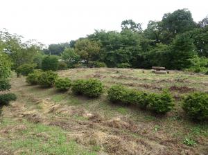 堅石 かたせ公園