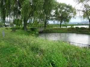 八幡池公園