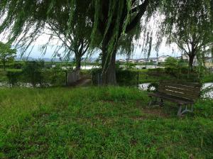 八幡池公園